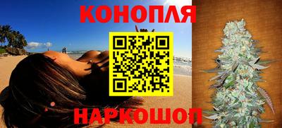 гашик Можга